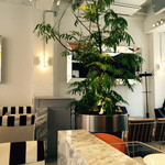 マーサーブランチ - 