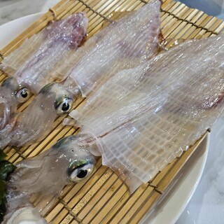 魚てる_0