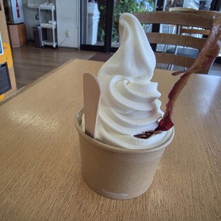 アイスクリームショップ パーク・イン_1