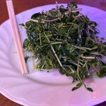 健康中華 青蓮 - 