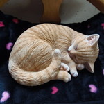 테우치 소바 시나노야 키치베에 - マスコット眠り姫（置物）