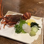 日本酒と個室居酒屋 まぐろ奉行とかに代官 - 