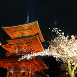 Nikushoumasuichi - 清水寺