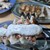 焼鳥 餃子 とり金 - 料理写真: