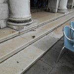 Caffè Florian - すずめ＠ヴェネチア