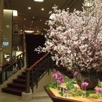 レ セゾン - 15.3