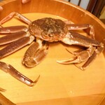 かに道楽 - 料理写真:活ずわいがに