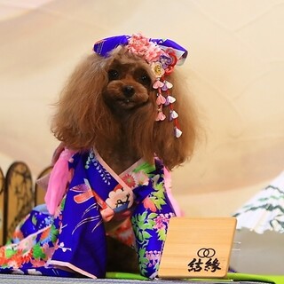 誕生日や記念日などの特別な日には、事前予約制のフォトプランも