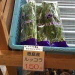八紘学園 農産物直売所 - 【2015年03月】恵庭産のルッコラ。