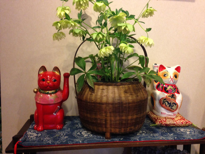 華かざり name=