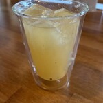 素の間 - 発酵ジンジャージンバック