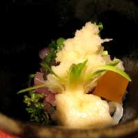 草喰 なかひがし - 鯉の細造り