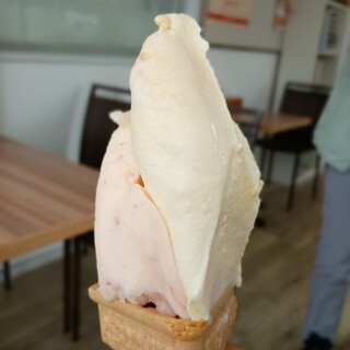 ジェラート工房 ヤミー_1