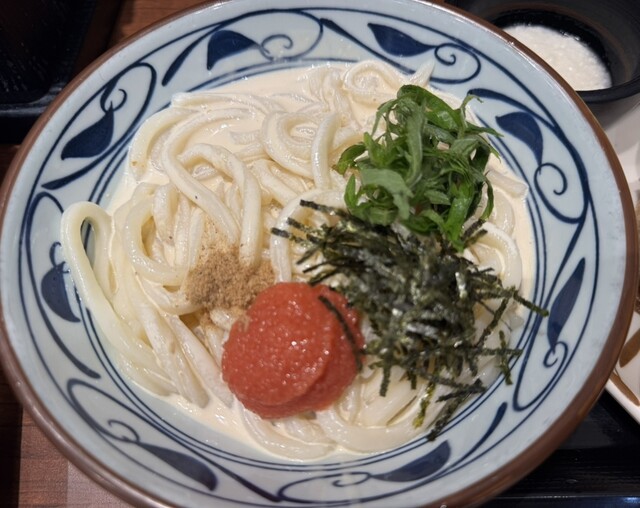 Marugame Seimen Chitosefunabashi ten - Chitose Funabashi/Udon