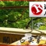 ナチュラル　カフェイーナ - 