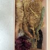 天丼 天むす 金子半之助 大丸東京店