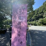 月桃パーラー - 