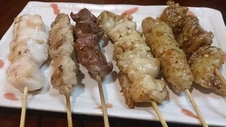 Honkaku sumibi yakitori irodori - 