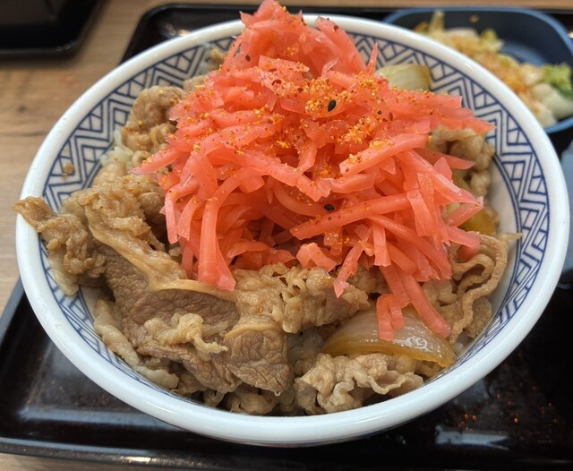 吉野家 26号線阪南店 （ヨシノヤ） - 鳥取ノ荘/牛丼 | 食べログ