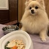 ウェルネスの森 那須