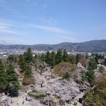 Tsurugajou Tenshukaku Baiten - 鶴ヶ城天守閣からの眺め～桜満開