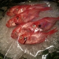筑紫樓 銀座店 - 