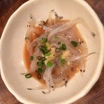 やまちゃん - 生シラス（サービス）