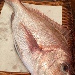 やまちゃん - 鯛も新鮮よ〜！^ ^