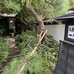 橘 - 