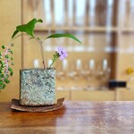 リストランテ ボルゴ・コニシ - ランチタイムはやさしい外光差し込む明るい店内です