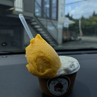 GELATERIA torinosu_0