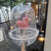 あめのとり