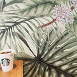 スターバックス・コーヒー - ドリンク写真:
