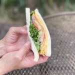 サンカフェ - 