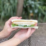 サンカフェ - 