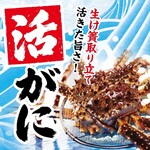 半田甲羅本店 - 