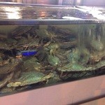 プロカンジャンケジャン - 