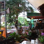 TON-THONG thai restaurant - 