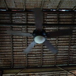 TON-THONG thai restaurant - 