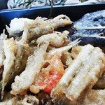 ハゼ天（丸）アップですｗ