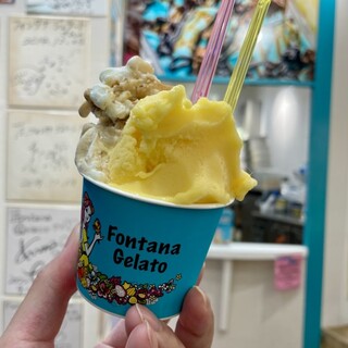 Fontana Gelato_1