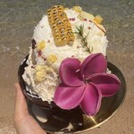 PALM COVE CLUB - 