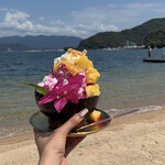 PALM COVE CLUB - 