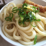 手打うどん たむら - アップ