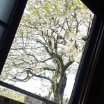 そば処　まるきや - 平成27年4月撮影