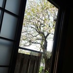 そば処　まるきや - 平成27年4月撮影