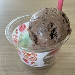 サーティワンアイスクリーム - 料理写真:どうぶつの森SWカップ:(上)チョップドチョコレート,(下)ポッピングシャワー510円
