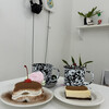 CAFE PLAYGROUND