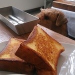 店内もペットOK