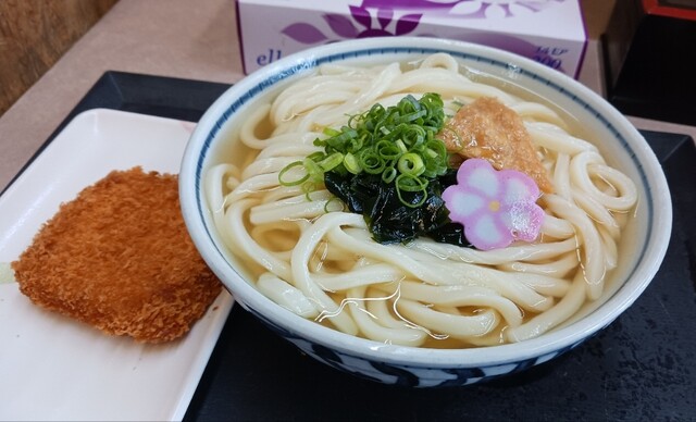 滝音 （たきね） - 白山（高松）/うどん | 食べログ